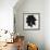 Blackberry III-Sydney Edmunds-Framed Giclee Print displayed on a wall