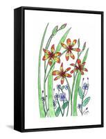 Blackberry Lily-Beverly Dyer-Framed Stretched Canvas