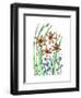 Blackberry Lily-Beverly Dyer-Framed Art Print