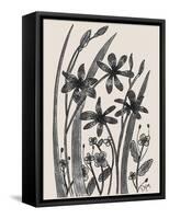 Blackberry Lily-Beverly Dyer-Framed Stretched Canvas