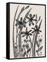 Blackberry Lily-Beverly Dyer-Framed Stretched Canvas