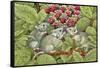 Blackberrying, 1996-Ditz-Framed Stretched Canvas