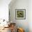 Blackbird and Snail-Ernest Henry Griset-Framed Premium Giclee Print displayed on a wall