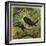 Blackbird and Snail-Ernest Henry Griset-Framed Premium Giclee Print