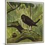 Blackbird and Snail-Ernest Henry Griset-Mounted Premium Giclee Print