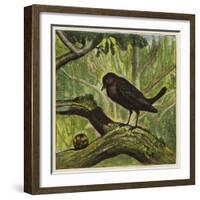 Blackbird and Snail-Ernest Henry Griset-Framed Giclee Print