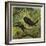 Blackbird and Snail-Ernest Henry Griset-Framed Giclee Print