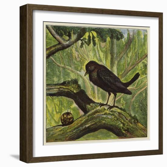 Blackbird and Snail-Ernest Henry Griset-Framed Giclee Print