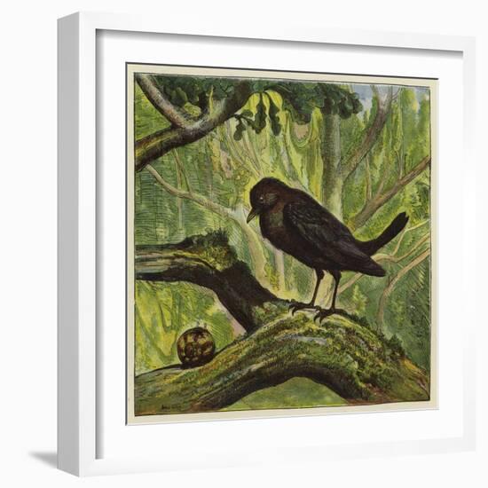 Blackbird and Snail-Ernest Henry Griset-Framed Giclee Print