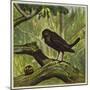 Blackbird and Snail-Ernest Henry Griset-Mounted Giclee Print