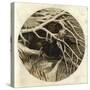 Blackbird and Thrush, in Covert-Harrison William Weir-Stretched Canvas
