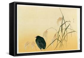 Blackbird, Edo Period-Japanese School-Framed Stretched Canvas