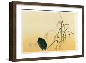 Blackbird, Edo Period-Japanese School-Framed Giclee Print