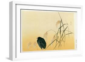 Blackbird, Edo Period-Japanese School-Framed Giclee Print