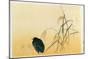 Blackbird, Edo Period-Japanese School-Mounted Giclee Print