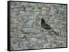 Blackbird in Tree-Ruth Addinall-Framed Stretched Canvas