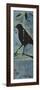 Blackbird on Branch-Tim Nyberg-Framed Giclee Print