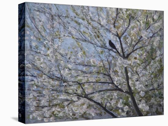 Blackbird Singing in Cherry Blossom-Ruth Addinall-Stretched Canvas