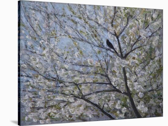 Blackbird Singing in Cherry Blossom-Ruth Addinall-Stretched Canvas