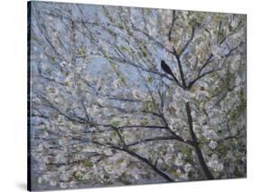 Blackbird Singing in Cherry Blossom-Ruth Addinall-Stretched Canvas