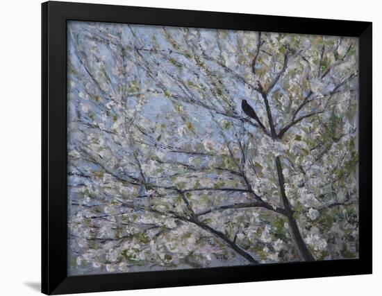 Blackbird Singing in Cherry Blossom-Ruth Addinall-Framed Giclee Print