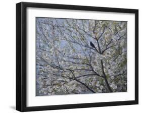 Blackbird Singing in Cherry Blossom-Ruth Addinall-Framed Giclee Print