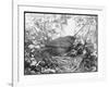 Blackbird Sits in Her Nest with Her Brood of Fledglings-null-Framed Art Print