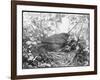 Blackbird Sits in Her Nest with Her Brood of Fledglings-null-Framed Art Print