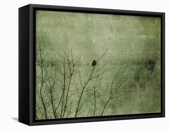 Blackbird-Christy Ann-Framed Stretched Canvas