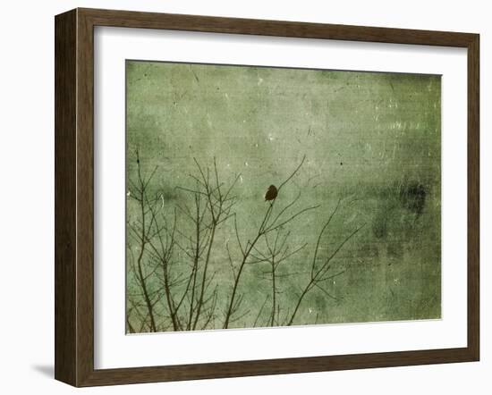 Blackbird-Christy Ann-Framed Giclee Print