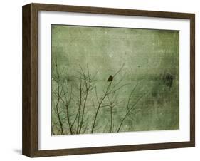 Blackbird-Christy Ann-Framed Giclee Print