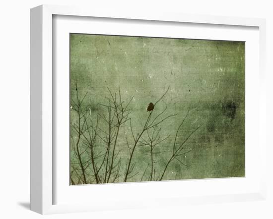 Blackbird-Christy Ann-Framed Giclee Print