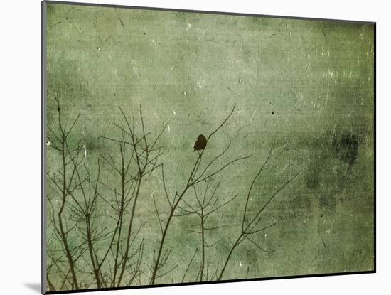 Blackbird-Christy Ann-Mounted Giclee Print