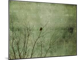 Blackbird-Christy Ann-Mounted Giclee Print