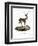 Blackbuck-null-Framed Premium Giclee Print