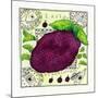 Blackcurrant, 1992-Julie Nicholls-Mounted Giclee Print