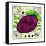 Blackcurrant, 1992-Julie Nicholls-Framed Stretched Canvas