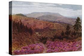 Blackdown from Hindhead-Alfred Robert Quinton-Stretched Canvas