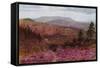 Blackdown from Hindhead-Alfred Robert Quinton-Framed Stretched Canvas