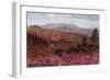 Blackdown from Hindhead-Alfred Robert Quinton-Framed Giclee Print