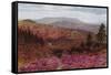 Blackdown from Hindhead-Alfred Robert Quinton-Framed Stretched Canvas