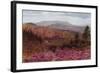 Blackdown from Hindhead-Alfred Robert Quinton-Framed Giclee Print