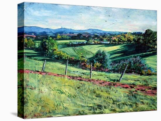 Blackdown View-Tilly Willis-Stretched Canvas