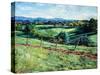 Blackdown View-Tilly Willis-Stretched Canvas