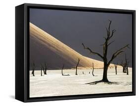 Blackened Camelthorn Trees in Dead Vlei, Near Sossusvlei, Namibia-Julian Love-Framed Stretched Canvas