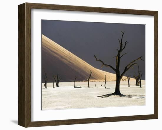 Blackened Camelthorn Trees in Dead Vlei, Near Sossusvlei, Namibia-Julian Love-Framed Photographic Print
