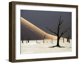 Blackened Camelthorn Trees in Dead Vlei, Near Sossusvlei, Namibia-Julian Love-Framed Photographic Print