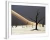 Blackened Camelthorn Trees in Dead Vlei, Near Sossusvlei, Namibia-Julian Love-Framed Photographic Print