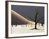 Blackened Camelthorn Trees in Dead Vlei, Near Sossusvlei, Namibia-Julian Love-Framed Photographic Print