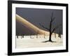 Blackened Camelthorn Trees in Dead Vlei, Near Sossusvlei, Namibia-Julian Love-Framed Photographic Print